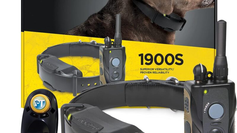 Dogtra 1900S Remote Training E-Collar Review: The Ultimate Tool for Effective Dog Training