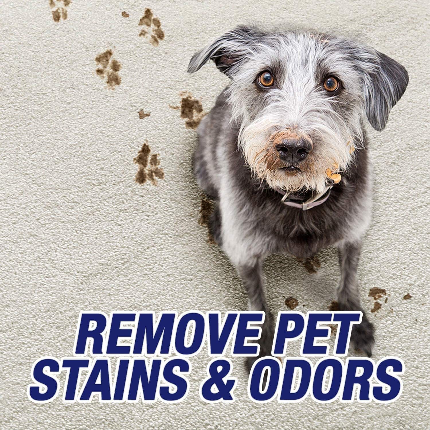 Resolve Ultra Pet Stain & Odor Remover Spray: The Ultimate Solution for Stubborn Stains
