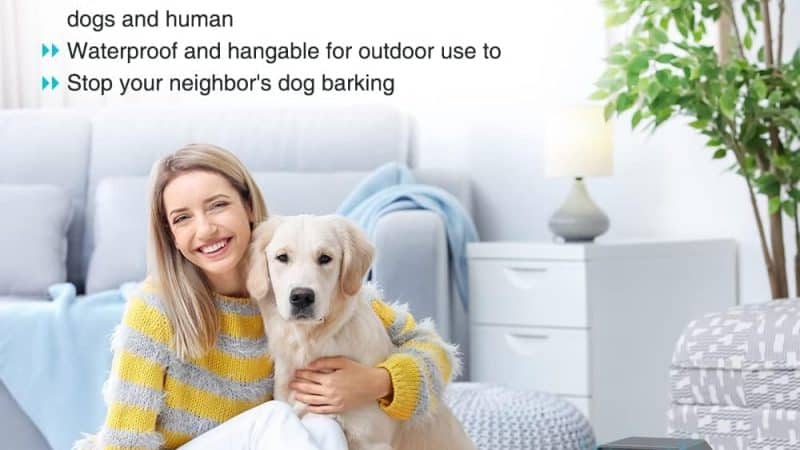 bubbacare Anti Barking Device: The Ultimate Solution to Excessive Dog Barking