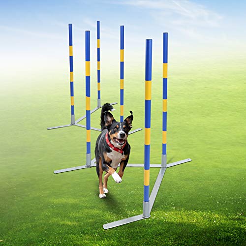 MiMu Dog Agility Equipment - The Ultimate Training Set for Active Dogs