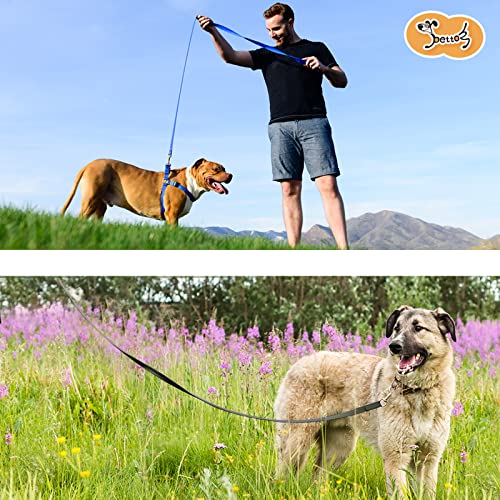 Pettom Dog Training Leash: The Perfect Tool for Obedience Training and Outdoor Activities