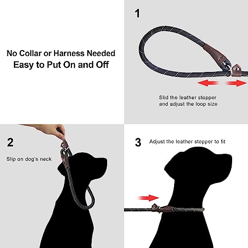 TwoEar Dog Leash Dog Slip Rope Leash: A Reliable and Convenient Training Leash for Dogs