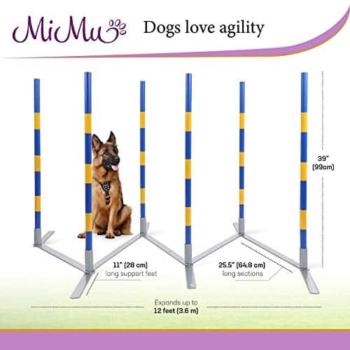 MiMu Dog Agility Equipment - The Ultimate Training Set for Active Dogs