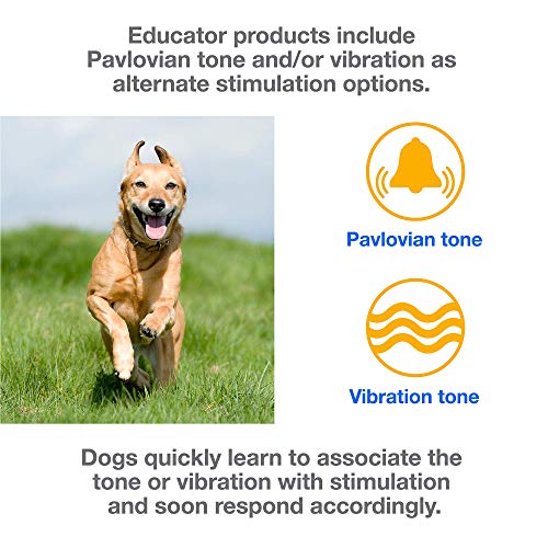 Educator E-Collar Humane Dog Training Collar: The Ultimate Training Solution for Small to Medium Dogs