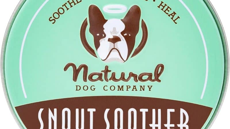 Natural Dog Company Snout Soother Dog Nose Balm: A Review of the Ultimate Solution for Dry, Cracked Noses